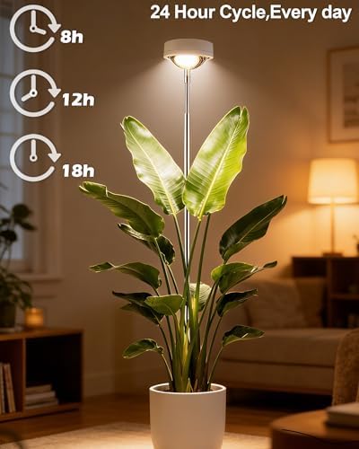 yadoker Plant Grow Light, LED Growing Light Full Spectrum for Indoor Plants,White Magnifying Glass Plant Lights,Height Adjustable, Automatic Timer, 5V Low Safe Voltage,Idea for Large - Image 5