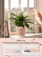 INGOFIN Terracotta Pots Set with Saucer - 4-Pack Ceramic Clay Planters with Drainage Hole, Garden Flower Succulent Pots with Tray for Indoor Outdoor Plants, 8 inch, Set of 4 - Image 4