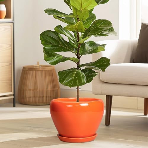 Ceramicfor Indoor Plant Pot, 8 Inch Ceramic Plant Pot, Orange - Image 2