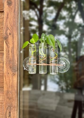 3 Lily Window Plant Propagator- Window Propagation Station with Removable Glass Test Tubes for Indoor Clippings, Cut Flowers, Herbs, Succulents | Home Decor | Plant Lover Gift (3 Lily) - Image 7