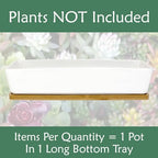 BambooMN Ceramic Succulent Pots - 1 Pot - Long Rectangle - White - 11" - Image 3