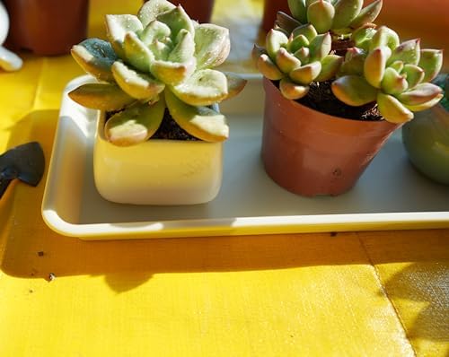 VUWEZ 2 Pack Plastic Plant Saucer, Rectangular 24 inch, Indoors/Outdoors, Drip Tray for Flower Pot, Windowsill (8 X 24'', Beige) - Image 4