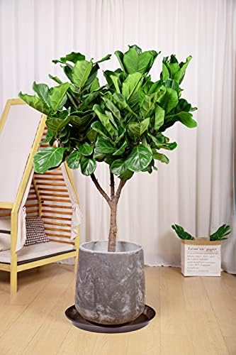VUWEZ 6 Pack of 20 inch Plant Saucer (18 Inch Base), Plant Tray 20 Inch Round, Plant Saucers for Indoors, Plant Trays for Pots, Flower Pot Saucers, Pot Saucers for Planter 16-21" (20", Brown) - Image 3