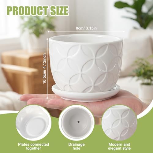 Maxdot 12 Set 4 Inch Ceramic Pots for Plants White Flower Pots with Drainage Holes Saucer Flower Planter for Indoor Outdoor Gardening Home Desktop Office Windowsill Decor - Image 2