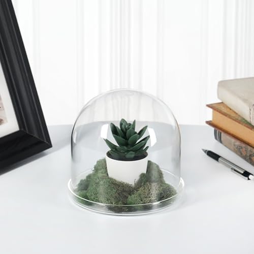Plymor 5.5" x 5.5" Glass Display Dome Cloche (Clear Glass Tray Base), Pack of 4 - Image 3