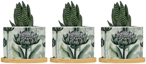 Chinoiserie Floral Ceramic Planter Green Black Flower Pots for Plants with Drainage Holes and Saucers Pot for Home Office Desk Garden by BRUYU5SE