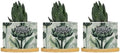 Chinoiserie Floral Ceramic Planter Green Black Flower Pots for Plants with Drainage Holes and Saucers Pot for Home Office Desk Garden by BRUYU5SE