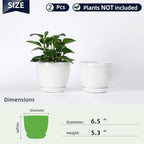 6.5" Ceramic Plant Pots Set of 2, Crisp White Embossed Planters with Saucer - Image 2