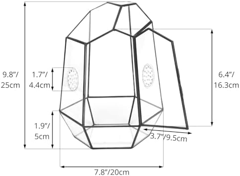 NCYP Closed Geometric Glass Enclosure with Front Opening Door & 2 Vent Holes for Insects, Snail, Moss, Fern - 7.9"x6.9"x9.8" Black Irregular Terrarium - Home Garden Tabletop Decor (No Plants) - Image 3