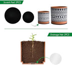 D'vine Dev 2-Pack Terracotta Pots, 4/6 in, Terra/Black, 31-958-F-2 - Image 4