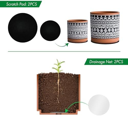 D'vine Dev 2-Pack Terracotta Pots, 4/6 in, Terra/Black, 31-958-F-2 - Image 4
