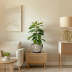 Ceramic Plant Pots, 8 Inch Planters Indoor, White Leopard - Image 7