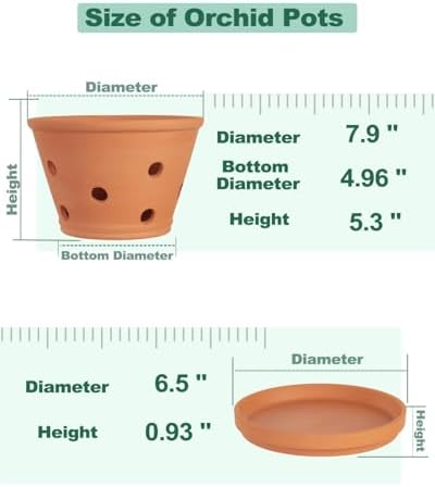 vensovo 8 Inch Terracotta Orchid Pots with Holes and Saucers - 2 Pack Clay Orchid Planter Pots for Repotting, Breathable Flower Pots for Indoor Outdoor, Promotes Air Circulation & Healthy Roots - Image 2