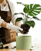 Ceramic Plant Pots, 8.1 + 6 Inch Planters for Indoor Plants, Modern Flower Pot for Plant with Drainage, Medium Cylinder Flower Pots for Indoor/Outdoor, House Plants, Matte Green - Image 6