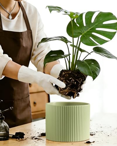 Ceramic Plant Pots, 8.1 + 6 Inch Planters for Indoor Plants, Modern Flower Pot for Plant with Drainage, Medium Cylinder Flower Pots for Indoor/Outdoor, House Plants, Matte Green - Image 6
