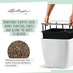 Lechuza 16160 Quadro LS 35 Self-Watering Planter, Cream White High Gloss - Image 6
