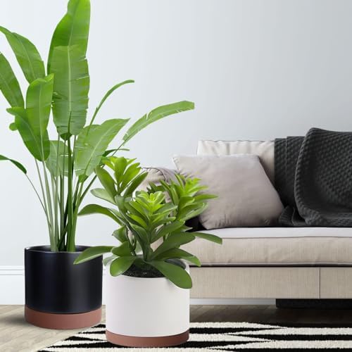 Yukfona Ceramic Plant Saucer Tray 1 Pcs 10 Inch Brown, 10.83" OD x10.24 ID x1.1 Deep| Fits Flower pots Bottom≤ 10.24", Heavy Duty Glazed Round Planter Drip with Catch Basin for Indoor Outdoor Plants - Image 6