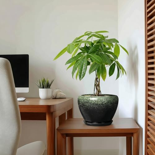8 Inch Plant Pot - Ceramic Pots for Indoor Plants Outdoor, Round Modern Planter with Drainage Hole and Saucer, Decorative Plant Pot Indoor, Room Decor, House Warming Gifts, Retro Green - Image 5
