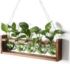 Plant Terrarium Hanging Propagation Stations Gift for Women by YYHglass