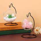 Tatuo 50 Pcs Ornament Display Stand Glass Ball Holder Hanger Stand - Image 4