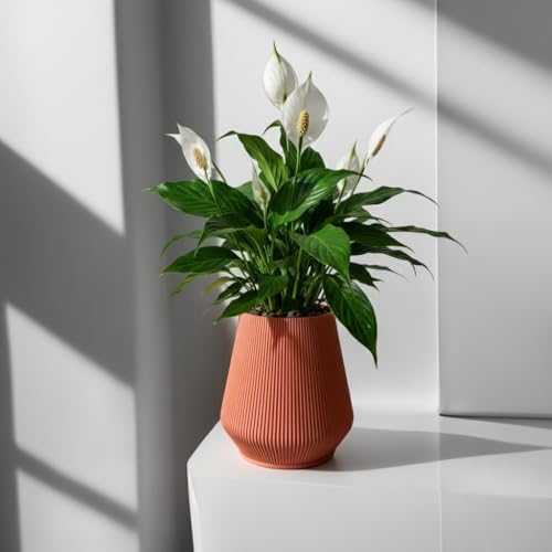 7" Modern Ribbed Planter - Plant-Based Sustainable Vase - Non-Toxic Indoor Pot for Live Plants with Soil or Dried Flowers, Minimalist Decor for Home & Office.(Terracota) - Image 6
