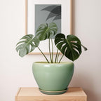 Ceramicfor Ceramic Planter Pot, 10 Inch Plant Pot, Reactive Green - Image 7