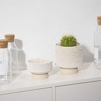 UBEE Planter Ceramic Flower Pot for Indoor Plants | 5.5 inch + 4.9 inch Plant Pots with Drainage Hole and Saucer for Aloe, Snake Plants, Pothos, Orchid, Beige with White Glaze Dot - Image 2
