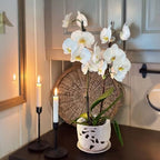 HERDUK Ceramic Orchid Pot, Orchid Pots with Drainage Holes & Saucer 6.5 Inch,Orchid Pot for Repotting Indoor, Orchid Containers with Precise Aeration & Drainage - Image 5