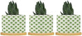 Timur in Blue Background Ceramic Planter Geometric Modern Planters for Indoor Plants with Drainage Holes and Saucers Pot for Pots Outdoor Indoor Plants by BRUYU5SE
