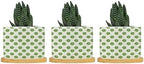 Timur in Blue Background Ceramic Planter Geometric Modern Planters for Indoor Plants with Drainage Holes and Saucers Pot for Pots Outdoor Indoor Plants by BRUYU5SE