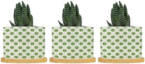 Timur in Blue Background Ceramic Planter Geometric Modern Planters for Indoor Plants with Drainage Holes and Saucers Pot for Pots Outdoor Indoor Plants by BRUYU5SE