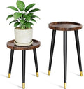 Plant Stand Indoor 2 Pack, Wood Mid Century Indoor Plant Stand, Tall Plant Stands for Flower Pot, Modern Plant Table, Small Side End Table With Raised Design, Walnut, 11.7"x18.8" & 11.7"x13" by GardenLighting