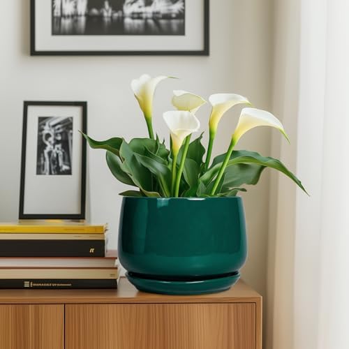 G EPGardening Ceramic Pots for Plants, 9 Inch Ceramic Planter, Green - Image 6