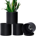 D'vine Dev 4-Pack Black Plastic Planters with Saucers, 6.5 in, 74-Y-L-2 by DvineDevPlanterPotsandStand