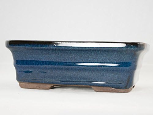 8" Rectangular Dark Blue Bonsai / Succulent Pot + Tray + Rock + Mesh Combo - Image 7