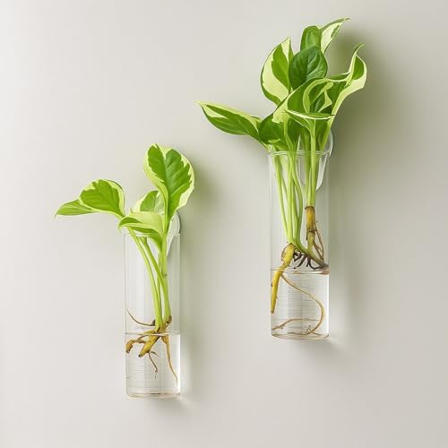 6 Set Of Wall-Mounted Glass Vases For Plants, Hydroponic Decor With Clear Cylinder Design And Traceless Hooks For Home And Office - Image 3