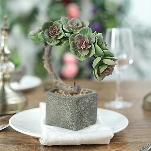 Fake Plants Artificial Succulent Plants Assorted Decorative Faux Succulent Potted Fake Perle Von Nurnberg Succulent Plants with Concrete Planter Pot - Image 2