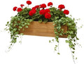 Handmade Rustic Cedar Herb Window Planter Box – Wooden Window & Railing Planter for Indoor or Outdoor Use, Made in USA (46") by DannyCustomWork