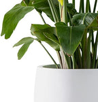 Kante Accent Round Bowl White Concrete Planter 16" Dia, Outdoor - Image 2