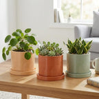 6 Inch Ceramic Plant Pot with Drainage Hole & Tray – Buttercream - Image 7