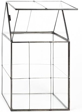 D'Eco Large Glass Plant Terrarium, Centerpiece & Wedding Letterbox Display - Image 5