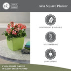 The HC Companies Aria Self Watering Square Plant Pot w/Drainage - Classic Planters for Outdoor Plants & Indoor Plants - Lightweight & UV-Resistant Plastic Pots for Plants (6" Matte White, Pack of 2) - Image 4