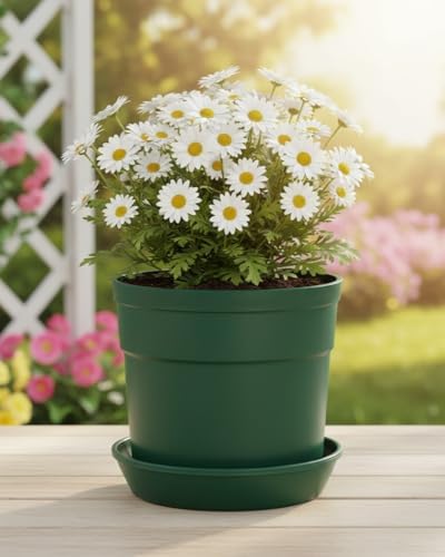 12-Piece Hunter Green Flower Pot and Saucer Set, 2"–12" - Image 5
