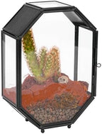 NCYP Mini Vented Glass Terrarium with Vent and Door for Jumping Spiders - Octagon Small Spider Enclosure, Black, Tabletop Decor, 5 x 2.3 x 7 Inches (Terrarium Only) by NCYP