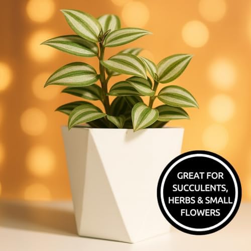 CZ Grain Modern White Geometric Tapered Planter | Minimalist Design for Succulents, Herbs & Small Plants | Hostess, Holiday or Coworker Gift | Indoor Flower Pot | Designer Aesthetic 6.6"x8.3" (3) - Image 4