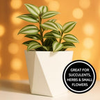 CZ Grain Modern White Geometric Tapered Planter | Minimalist Design for Succulents, Herbs & Small Plants | Hostess, Holiday or Coworker Gift | Indoor Flower Pot | Designer Aesthetic 6.6"x8.3" (3) - Image 4