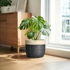 9.8 Inch Planter, Ceramic Pots for Plants, Round Flower Pots, Black - Image 7