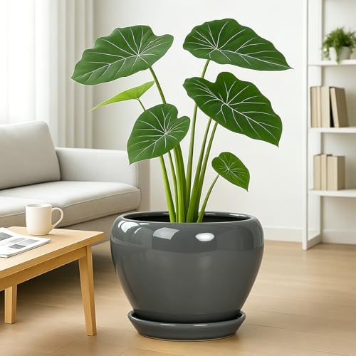 Deep Dream 10 Inch Plant Pot- Ceramic Planter Pot Round Plant Pots for Indoor Plants Outdoor Large Flower Pot with Drainage Holes & Trays, Grey - Image 2