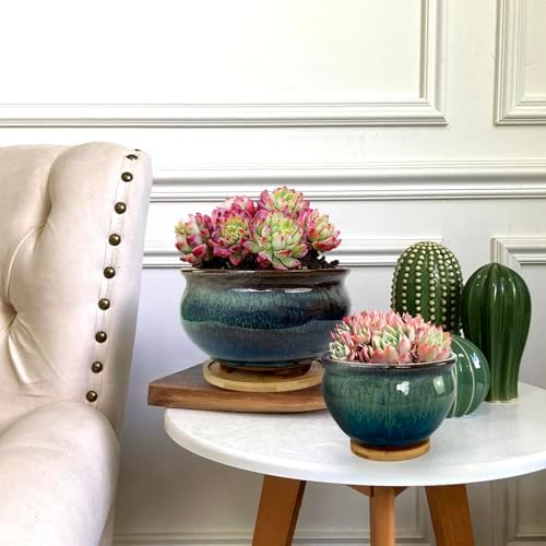 8 and 5.5 Inch Succulent Pot with Drainage and Saucer Glazed Terracotta Round Ceramic Succulent Planter Cactus Bonsai Plant Pot (White and Green) - Image 3