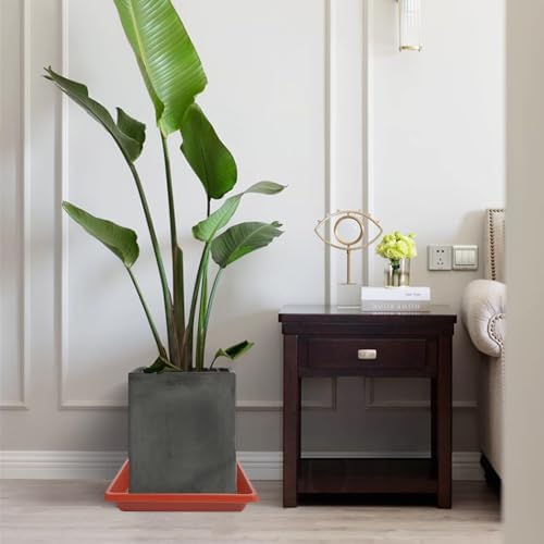 Square Plant Saucer 14 Inch 2 Pack, 6 8 10 12 13 16 18 20 Durable Plastic Plant Trays for Pots-Indoor Outdoor, Durable and Thicker Large Plant Drip Trays, Flower Planter Saucers for Potted Plants - Image 7